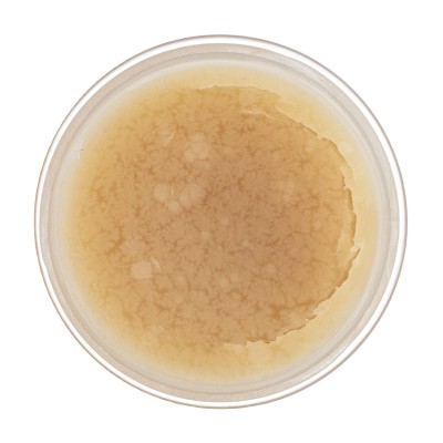 Жир паяльный нейтральный, 20 г Сибртех Жир паяльный нейтральный, 20 г Сибртех