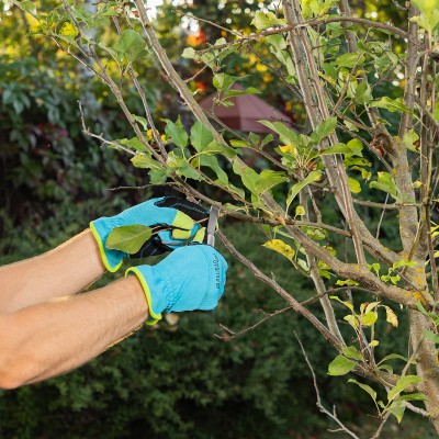 Нож садовый складной, прямое лезвие, 173 мм, деревянная рукоятка, Palisad Нож садовый складной, прямое лезвие, 173 мм, деревянная рукоятка, Palisad