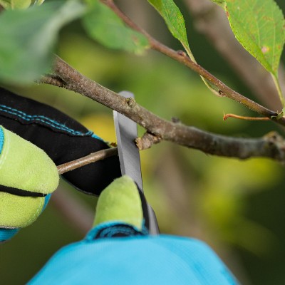 Нож садовый складной, прямое лезвие, 173 мм, деревянная рукоятка, Palisad Нож садовый складной, прямое лезвие, 173 мм, деревянная рукоятка, Palisad