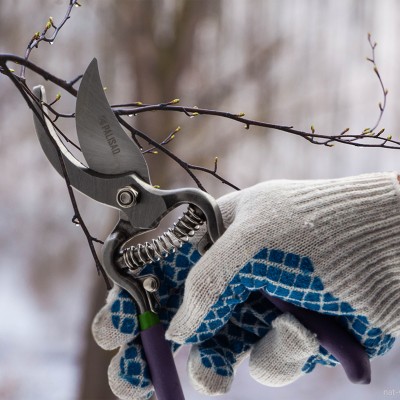 Секатор прямого реза 200 мм, обрезиненные рукоятки, Palisad Секатор прямого реза 200 мм, обрезиненные рукоятки, Palisad