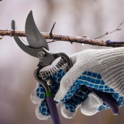 Секатор прямого реза 200 мм, обрезиненные рукоятки, Palisad