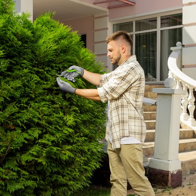 Секатор прямого реза, 200 мм, металлические рукоятки, верхняя в ПВХ - оболочке, Сибртех Секатор прямого реза, 200 мм, металлические рукоятки, верхняя в ПВХ - оболочке, Сибртех