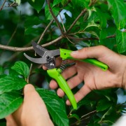 Секатор прямого реза, 185 мм, рукоятки из полипропилена, BASE// Palisad