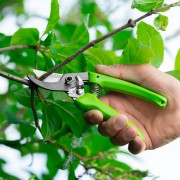 Секатор прямого реза, 185 мм, рукоятки из полипропилена, BASE// Palisad