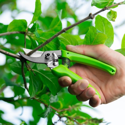 Секатор прямого реза, 185 мм, рукоятки из полипропилена, BASE// Palisad Секатор прямого реза, 185 мм, рукоятки из полипропилена, BASE// Palisad