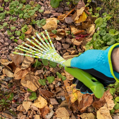 Грабли веерные 9 - зубые, 130 х 415 мм, стальные, пластиковая рукоятка, Flower Green, Palisad Грабли веерные 9 - зубые, 130 х 415 мм, стальные, пластиковая рукоятка, Flower Green, Palisad