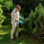 Секатор прямого реза, 200 мм, храповой механизм, металлические обрезиненные рукоятки, Palisad