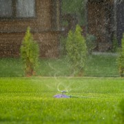 Разбрызгиватель вращающийся Бабочка, 3 лопасти, с регулировкой Palisad