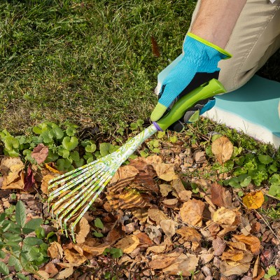 Грабли веерные 9 - зубые, 130 х 415 мм, стальные, пластиковая рукоятка, Flower Green, Palisad Грабли веерные 9 - зубые, 130 х 415 мм, стальные, пластиковая рукоятка, Flower Green, Palisad