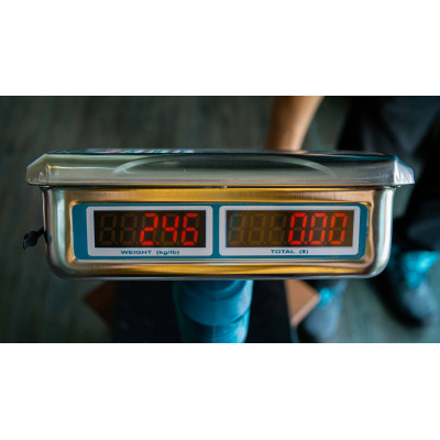 Весы электронные напольные TOTAL TES1202 Весы электронные напольные TOTAL TES1202