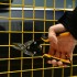 Ножницы по металлу с 250 мм с правые резом DEKO HT19 Ножницы по металлу с 250 мм с правые резом DEKO HT19