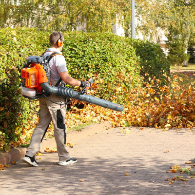 Воздуходувка ранцевая бензиновая DAEWOO DABL 760 Воздуходувка ранцевая бензиновая DAEWOO DABL 760