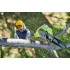 ONE + / Высоторез цепной RYOBI RPP182015S ONE + / Высоторез цепной RYOBI RPP182015S