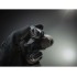 Фонарь Armytek Predator Pro Magnet USB Теплый Фонарь Armytek Predator Pro Magnet USB Теплый