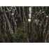 Фонарь Armytek Wizard C2 Pro Max Olive Белый Фонарь Armytek Wizard C2 Pro Max Olive Белый