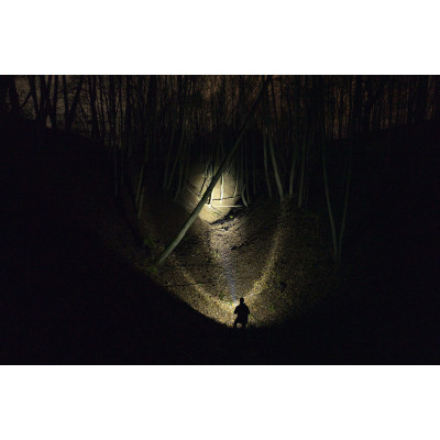 Фонарь Armytek Bear WRG Фонарь Armytek Bear WRG