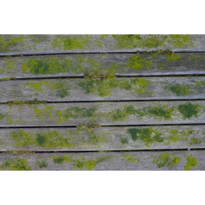 Щетка для дерева RYOBI RAC820 Щетка для дерева RYOBI RAC820