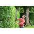 ONE + / Кусторез RYOBI HP RY18HTX60A-0 (без батареи) ONE + / Кусторез RYOBI HP RY18HTX60A-0 (без батареи)