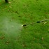 Опрыскиватель садовый аккумуляторный DEKO DKSP12 14 л Опрыскиватель садовый аккумуляторный DEKO DKSP12 14 л