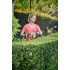 Кусторез электрический RYOBI RHT5150 Кусторез электрический RYOBI RHT5150