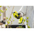ONE + / Секатор (сучкорез) RYOBI RY18SCA-0 (без батареи) ONE + / Секатор (сучкорез) RYOBI RY18SCA-0 (без батареи)