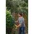ONE + / Кусторез RYOBI RY18HT50A-120 ONE + / Кусторез RYOBI RY18HT50A-120